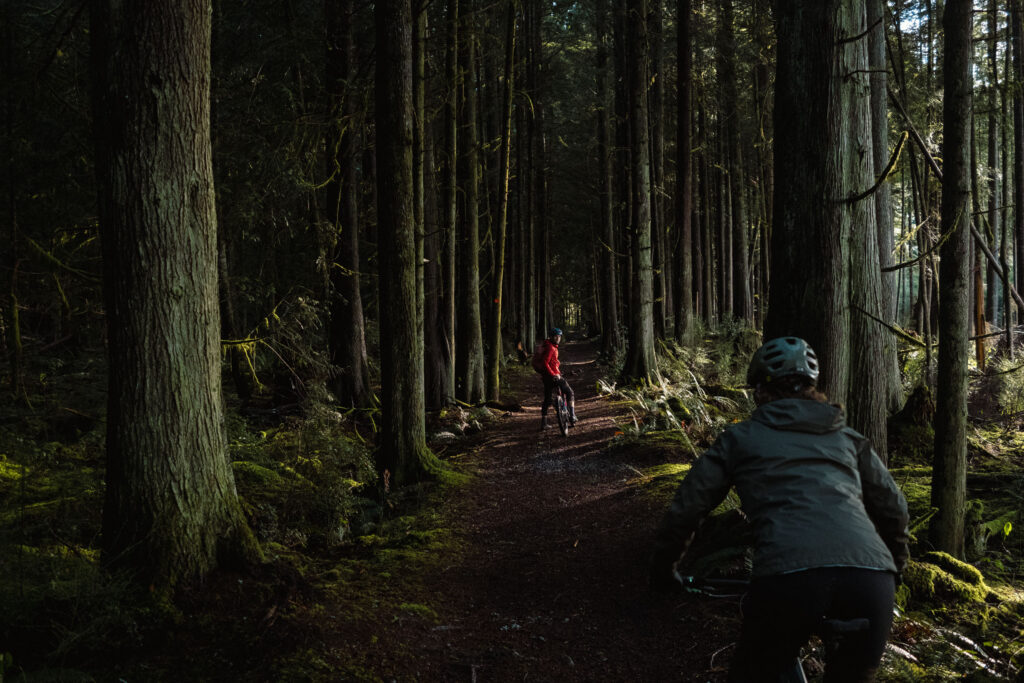 Powell River mountain bike trails